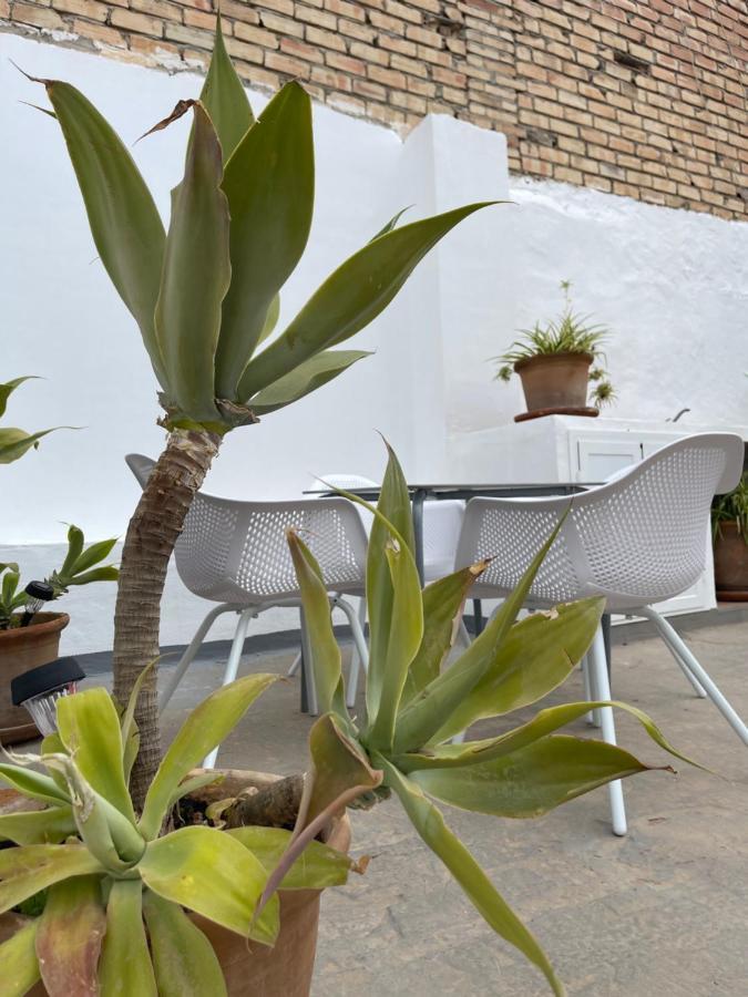 Carmela Apartment. 阿尔姆尼卡 外观 照片